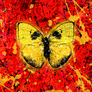 91香蕉视频app免费
