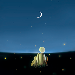 91香蕉视频app免费
